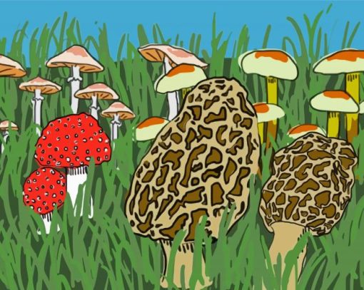 Morel Mushroom Illustration Diamond Painting