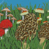 Morel Mushroom Illustration Diamond Painting