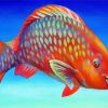 Orange Parrot Fish Diamond Paintings