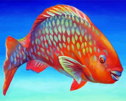 Orange Parrot Fish Diamond Paintings