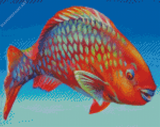 Orange Parrot Fish Diamond Paintings