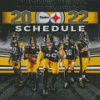 Pittsburg Steelers Team Diamond Painting