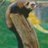 Polecat Diamond Painting