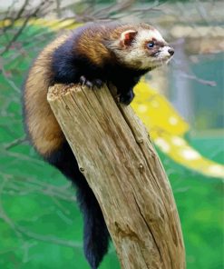 Polecat Diamond Painting