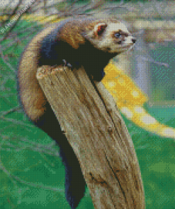 Polecat Diamond Painting