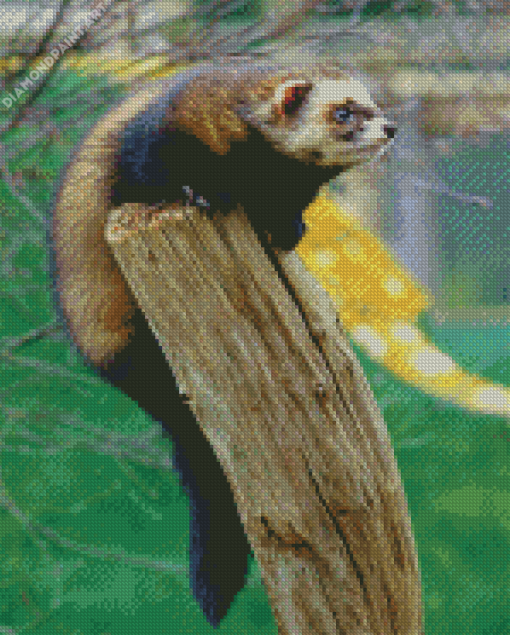 Polecat Diamond Painting