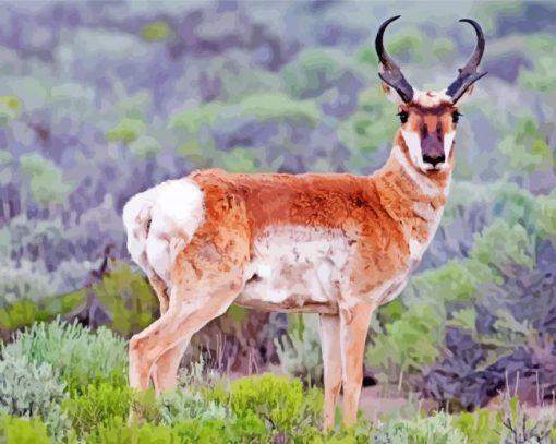 Pronghorn Diamond Painting