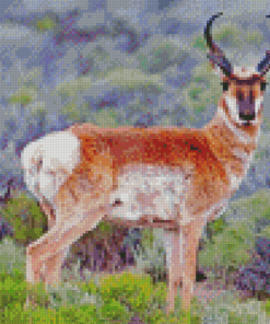 Pronghorn Diamond Painting