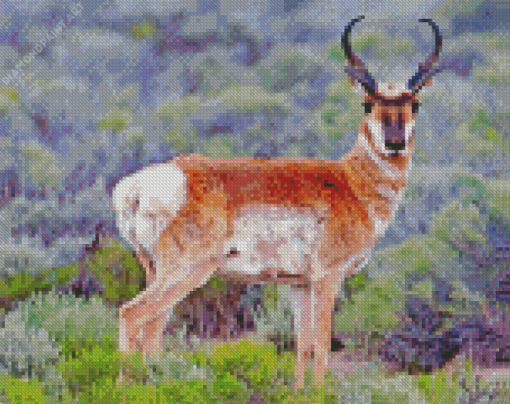 Pronghorn Diamond Painting