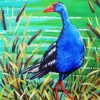 Pukeko Bird Diamond Paintings