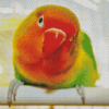 Red Lovebird Diamond Paintings