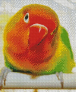 Red Lovebird Diamond Paintings