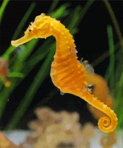 Sea Horse Diamond Painting