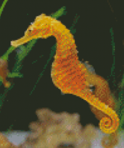 Sea Horse Diamond Painting