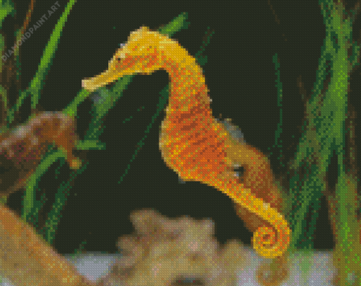 Sea Horse Diamond Painting