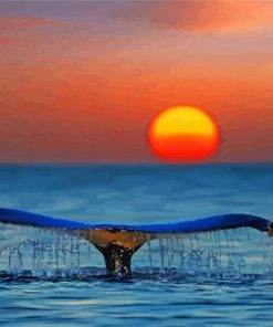 Sunset Whale Tail Diamond Painting