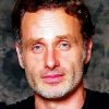 The Actor Andrew Lincoln Diamond Paintings