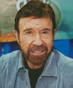 The Artist Chuck Norris Diamond Painting