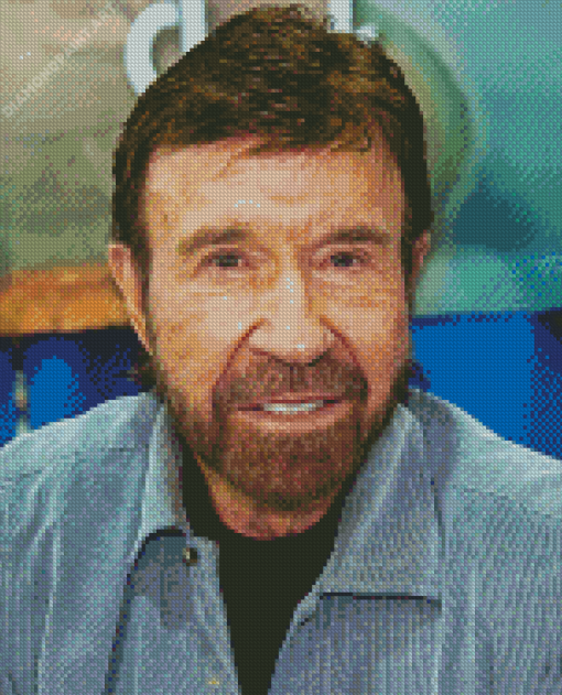 The Artist Chuck Norris Diamond Painting