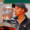 The Champion Ashleigh Barty Diamond Paintings