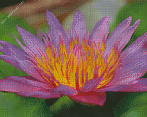 Tiger Lotus Diamond Painting