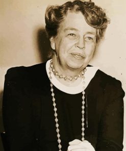 Vintage Eleanor Roosevelt Diamond Paintings