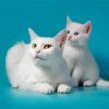 White Cat And Kitten Diamond Painting