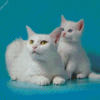 White Cat And Kitten Diamond Painting