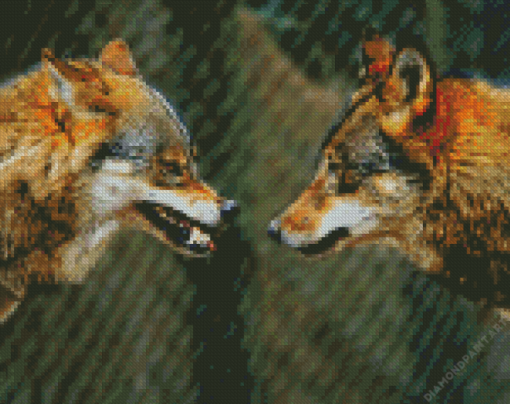 Wolves Face To Face Diamond Painting