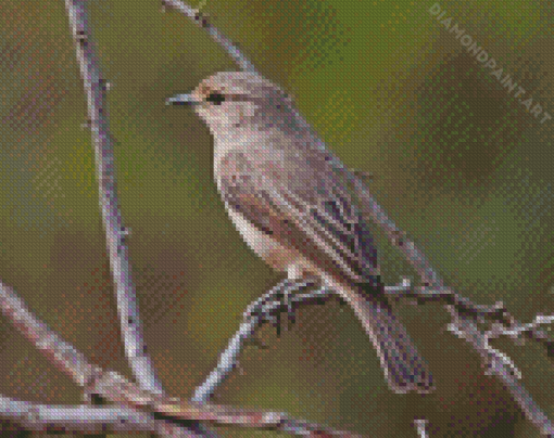 African Grey Flycatcher Diamond Painting