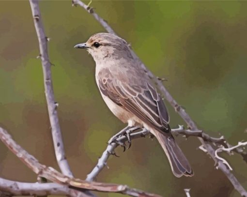 African Grey Flycatcher Diamond Painting