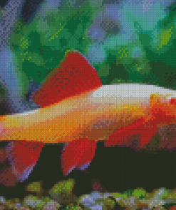 Albino Rainbow Shark Fish Diamond Painting