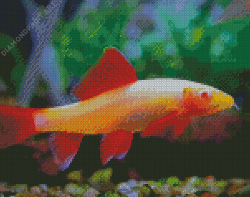 Albino Rainbow Shark Fish Diamond Painting