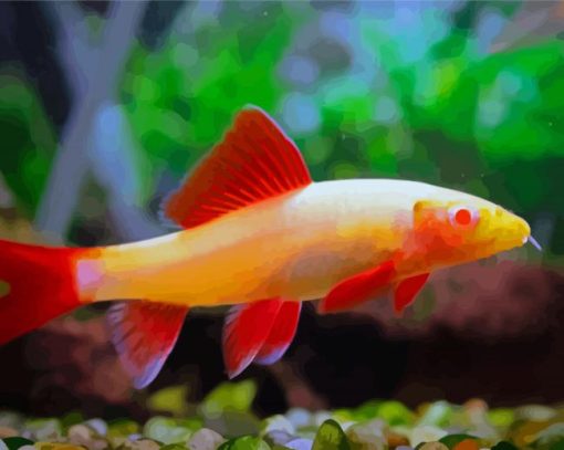 Albino Rainbow Shark Fish Diamond Painting