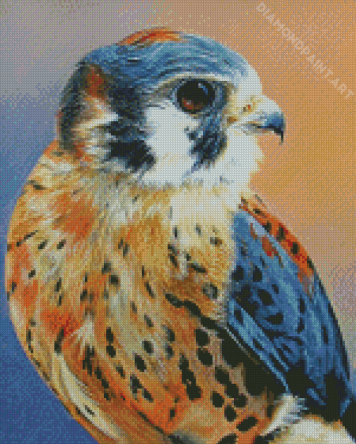 American Kestrel Bird Art Diamond Painting