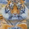 Beautiful Tiger Eyes Adulr Diamond Painting