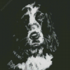 Black And White Cocker Spaniel Art Diamond Painting