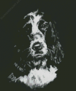 Black And White Cocker Spaniel Art Diamond Painting