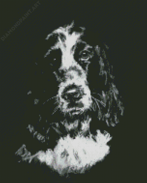 Black And White Cocker Spaniel Art Diamond Painting