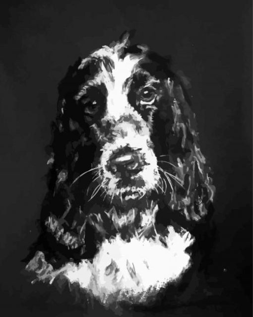 Black And White Cocker Spaniel Art Diamond Painting