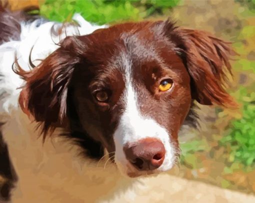 Brown Sprollie Dog Diamond Painting