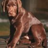 Brown Labrador Diamond Painting