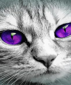 Cat With Violet Eyes Diamond Painting