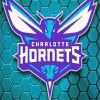 Charlotte Hornets Basketball Team Logo Diamond Painting