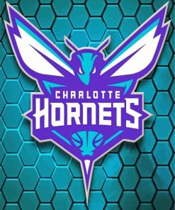 Charlotte Hornets Basketball Team Logo Diamond Painting