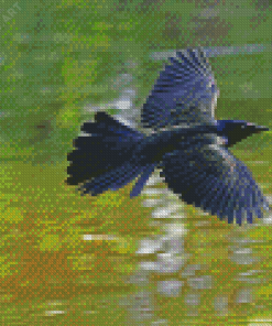 Common Grackle Flying Diamond Painting