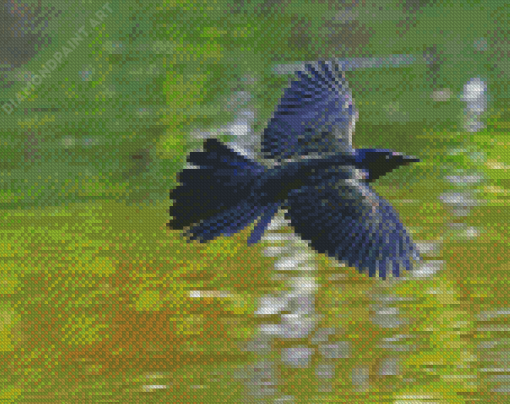 Common Grackle Flying Diamond Painting