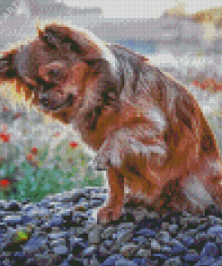 Cute Long Haired Chihuahua Diamond Painting