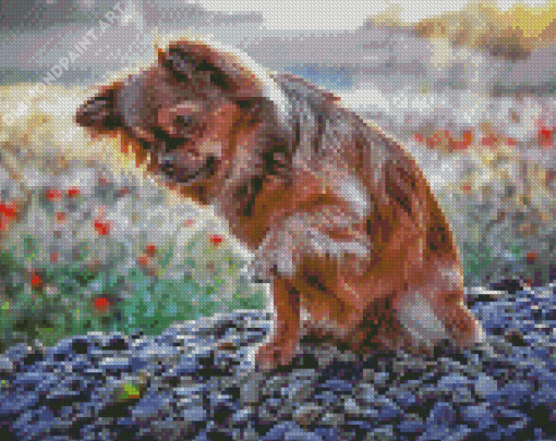 Cute Long Haired Chihuahua Diamond Painting