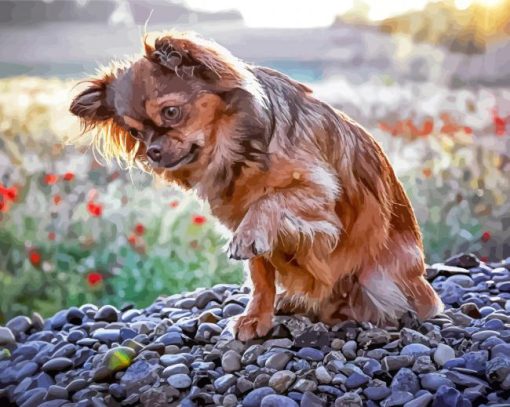 Cute Long Haired Chihuahua Diamond Painting